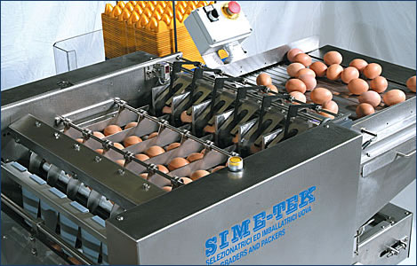 high volume egg graders