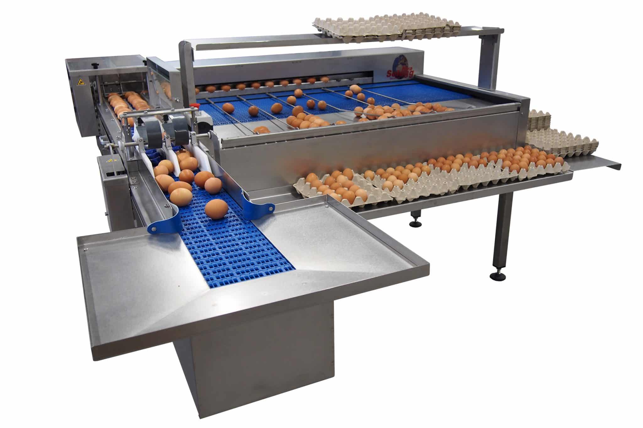 Egg Grader Type S 41 - Reids Equipment